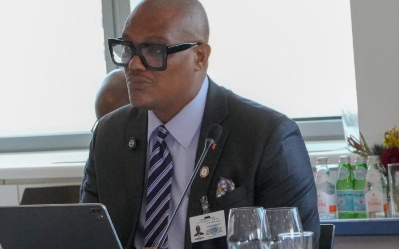 St Kitts and Nevis Calls for Stronger Global Partnership to build SIDS Resilience