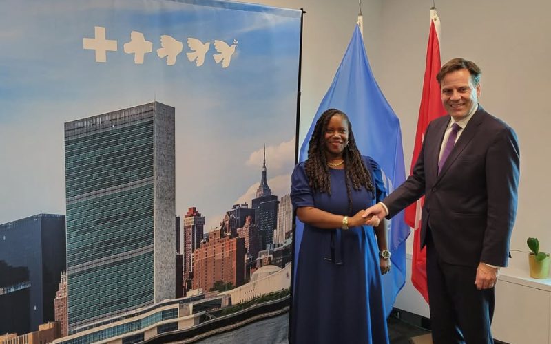 St. Kitts and Nevis and Switzerland Strengthen Diplomatic Engagement on Matters of Mutual Interest