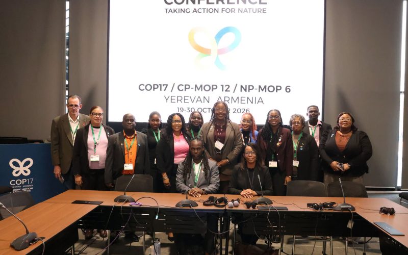 Small Island Developing States (SIDS) end COP17 with a Call for Greater Action and Support for Biodiversity Conservation