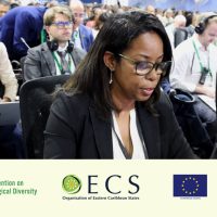 The Caribbean and Latin America Call for Stronger Biodiversity Action and Financing at COP17 Opening in Armenia