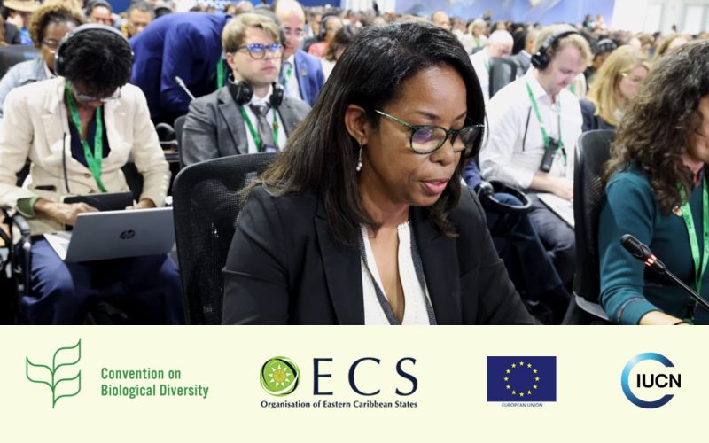 The Caribbean and Latin America Call for Stronger Biodiversity Action and Financing at COP17 Opening in Armenia