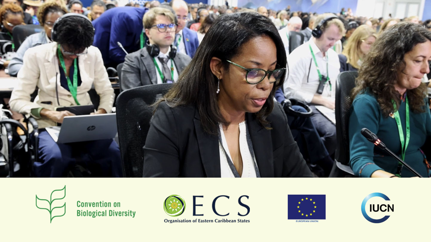 The Caribbean and Latin America Call for Stronger Biodiversity Action and Financing at COP17 Opening in Armenia