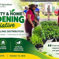 Samal Duggins: “Food Security Is Not Only a National Responsibility; It Is Something We Can All Contribute To”