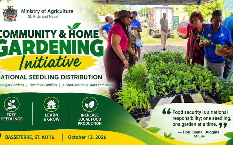 Samal Duggins: “Food Security Is Not Only a National Responsibility; It Is Something We Can All Contribute To”