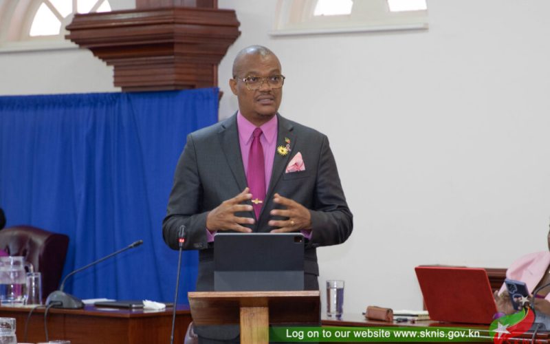 Acting  Prime Minister Hanley  Calls on Young Diaspora  Professionals and Entrepreneurs to Help Build St Kitts and Nevis